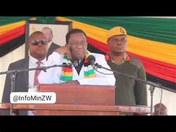 Unveiling The Mystery Of Ava Pedo: A Deep Dive