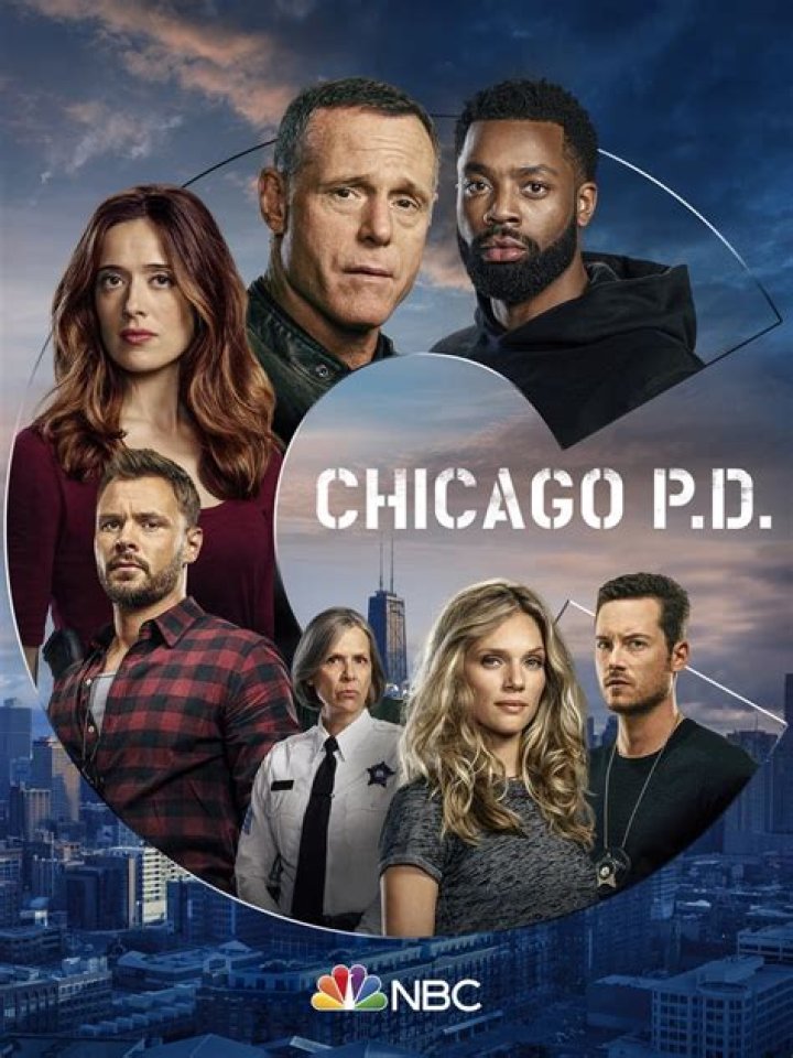 Unraveling The Intricacies Of Chicago P.D. Wiki