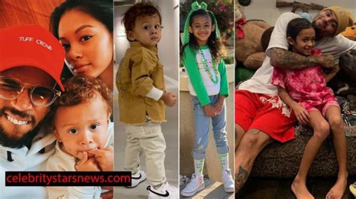 Understanding Chris Brown's Role As A Father: The Life Of Chris Brown's Kid