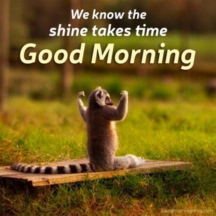 Start Your Day With A Smile: The Ultimate Good Morning Meme Collection