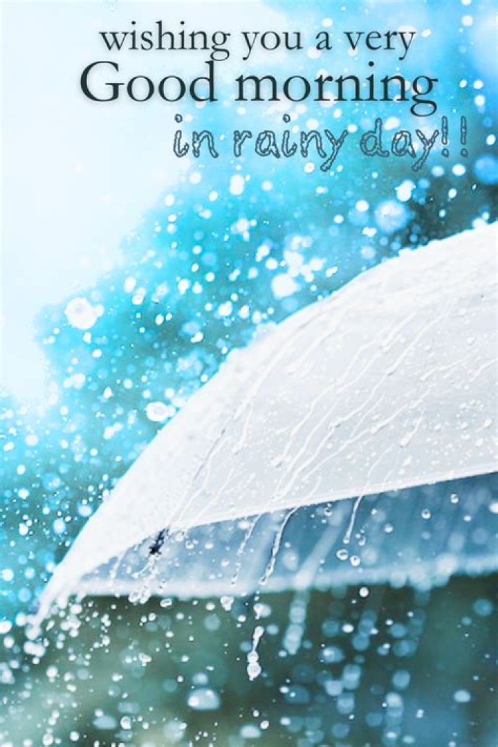 Embracing The Clouds: Good Morning Rainy Day Quotes To Brighten Your Day