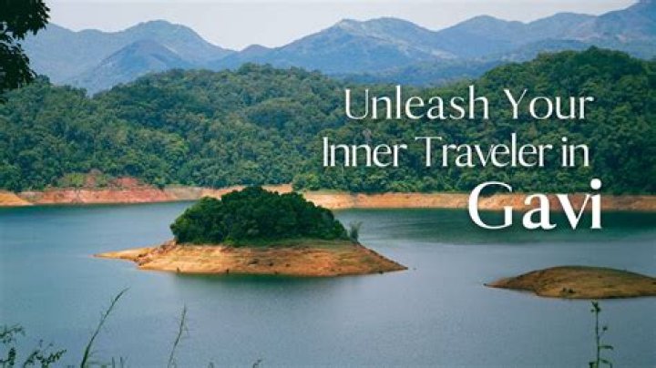 Is GAVI A Muslim Organization? Exploring The Truth