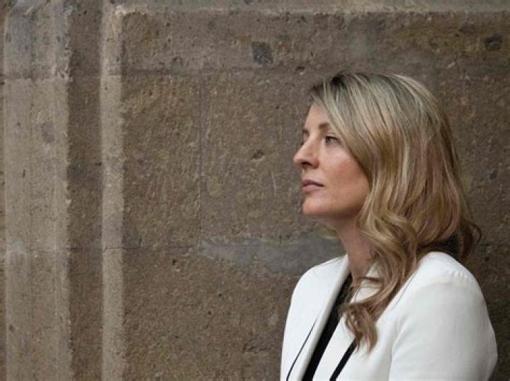 Melanie Joly's Impressive Net Worth: How Much Is The Minister Worth?