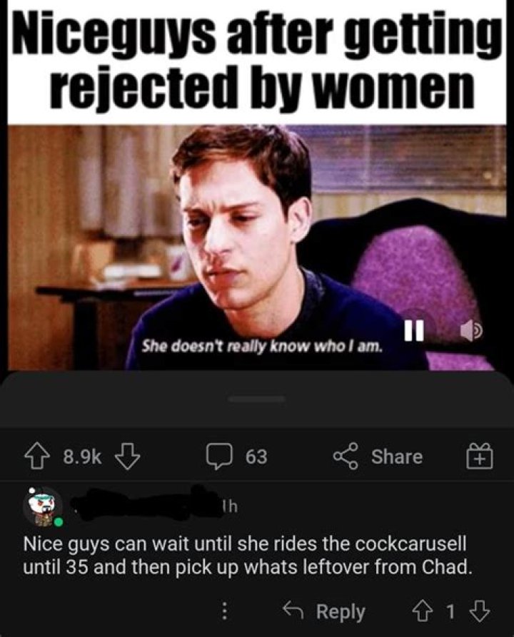 Understanding The Nice Guy Phenomenon On Reddit