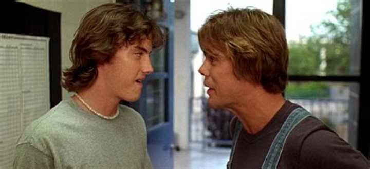 Nicky Cat Suras: The Feline Sensation Taking The Internet By Storm