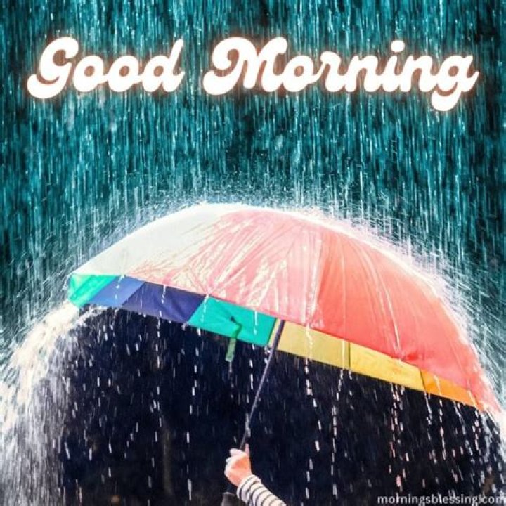 Embracing The Rain: Good Morning Status To Brighten Your Day