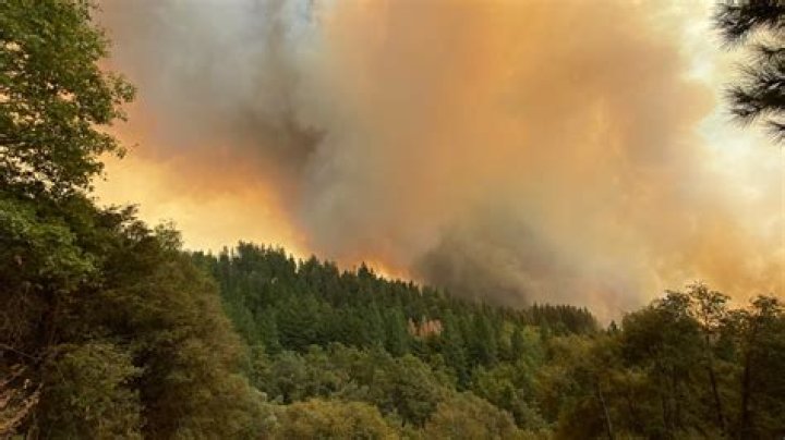 Unraveling The Sherri Papini Timeline: A Journey Through Mystery And Controversy