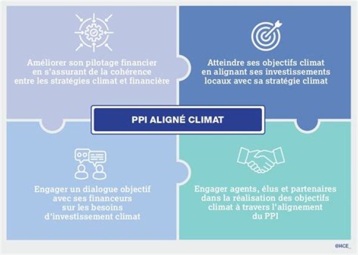 Unveiling The Enigma: Sophie Rain Video Spider